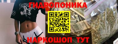 СК Пугачёв