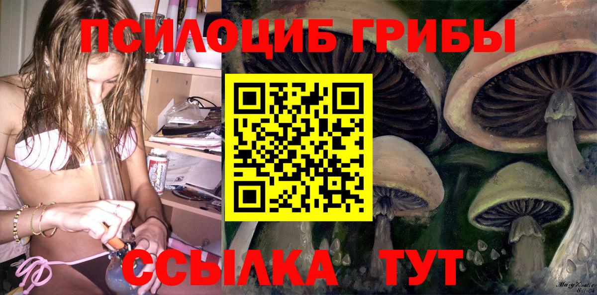 Псилоцибиновые грибы мухоморы Омск