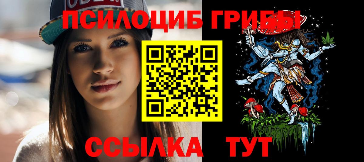 Псилоцибиновые грибы MAGIC MUSHROOMS  Галлюциногенные грибы Cubensis  Омск  Вход с VPN 